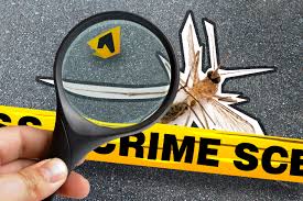 Career with Biology-Forensic Entomology