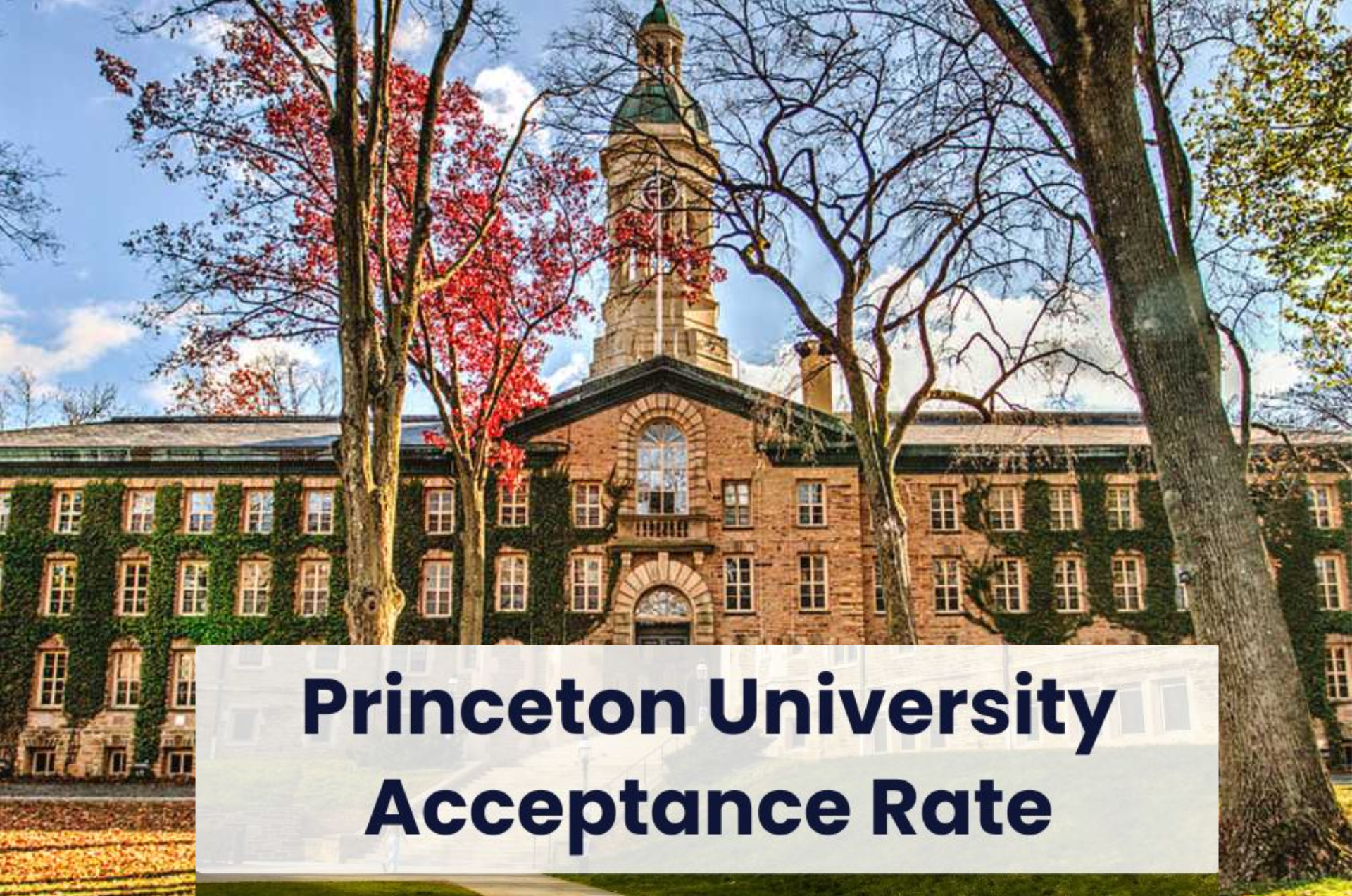 Understanding Princeton’s Acceptance Rate