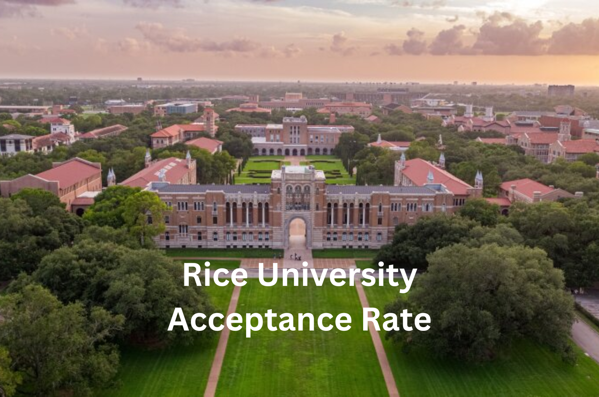 Understanding Rice University’s Acceptance Rate