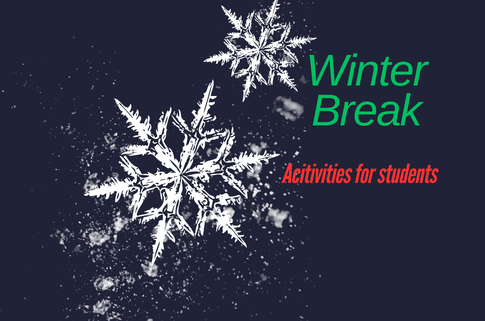 Activities to make your winter break productive